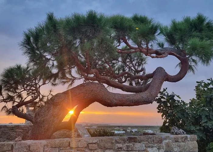 Villa Mystic Harmony